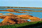 Valli di Comacchio